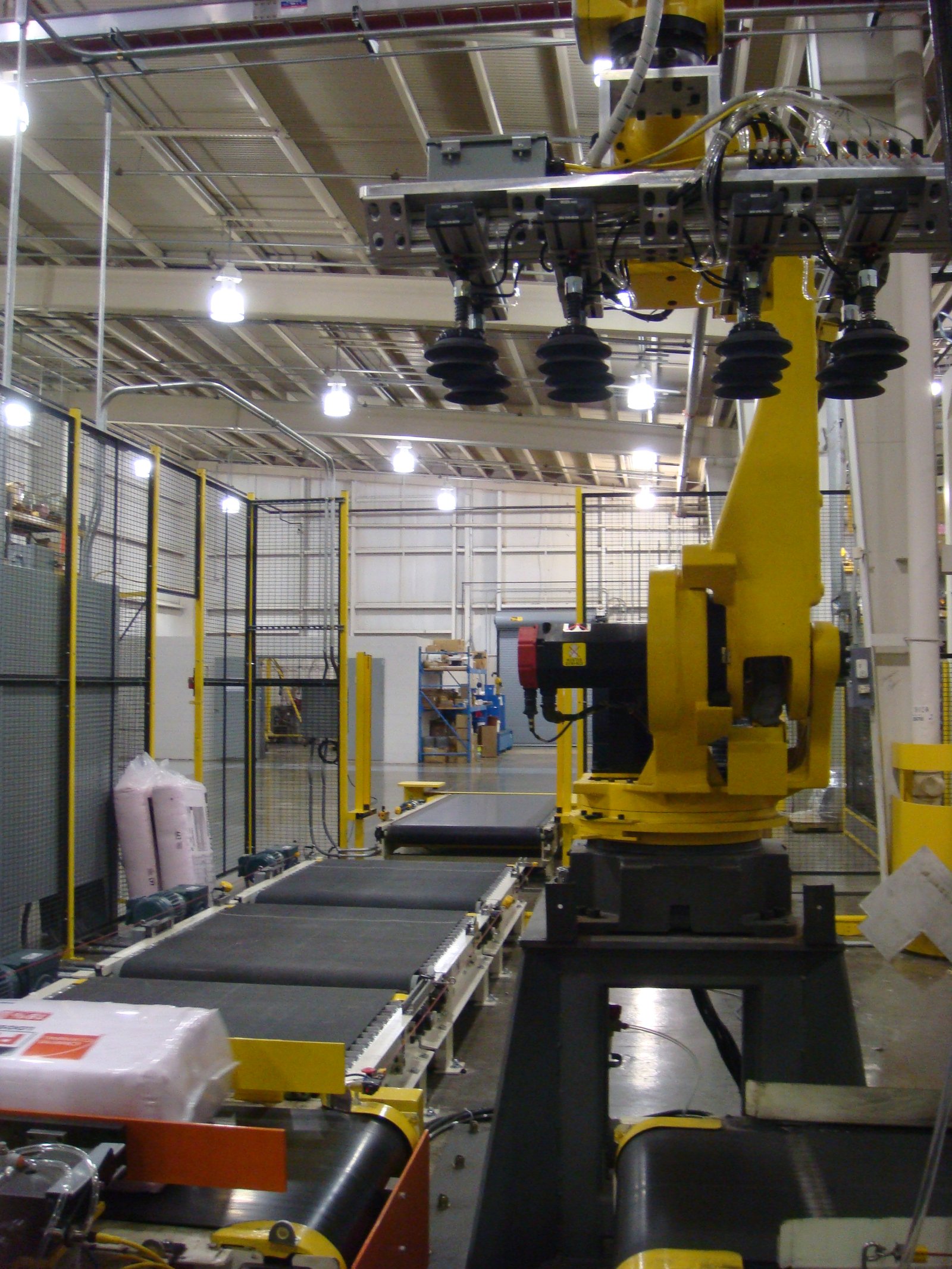 Robotics, palletizing, sorting line